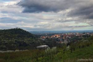 Příroda